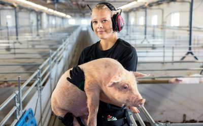 10 500 grisar skyddas av aspirerande rökdetektorsystem
